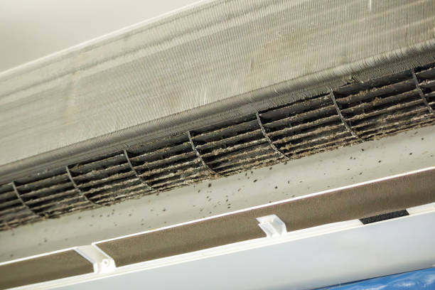 Best Residential Air Duct Cleaning  in Delta Junction, AK